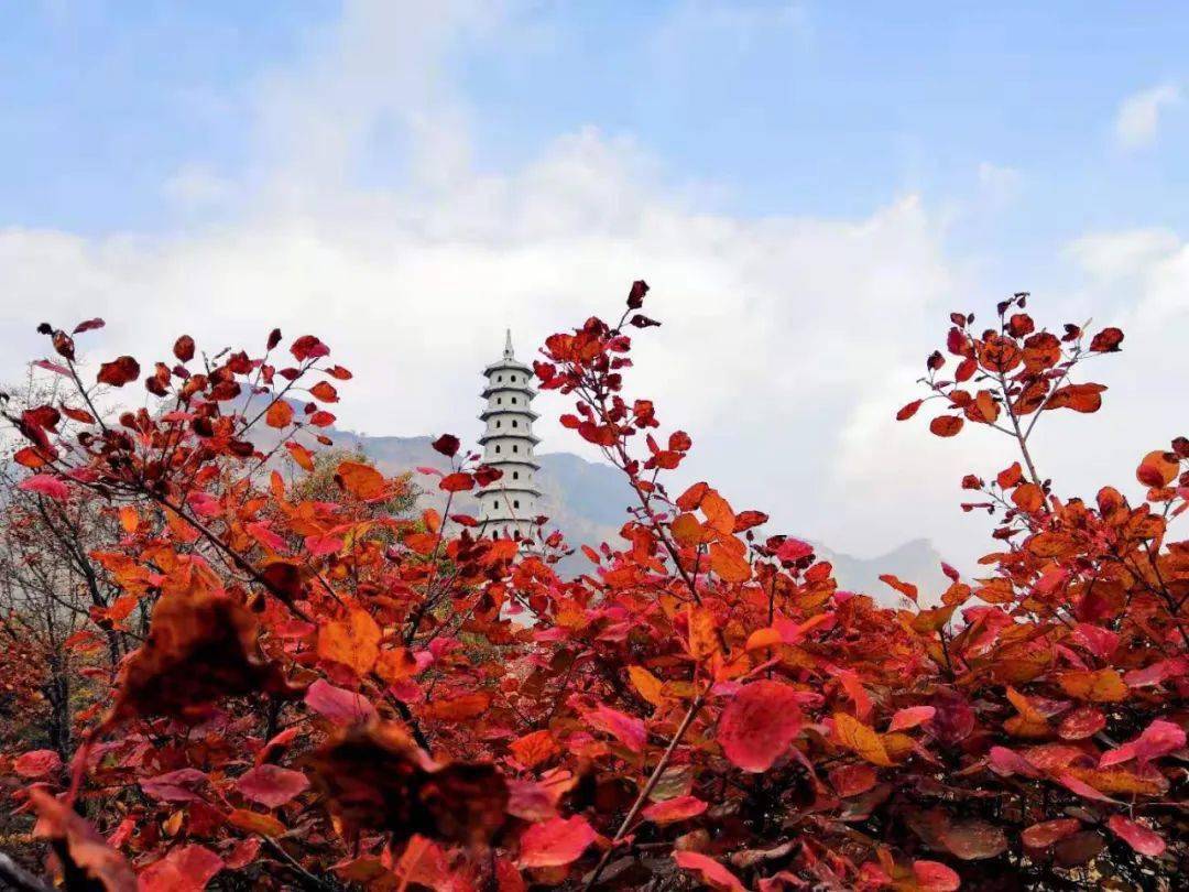 第十四届九龙峡红叶节邀您来赏!_邢台