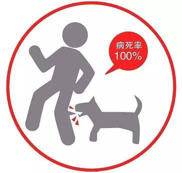 刚打完狂犬育苗又被狗咬怎么办