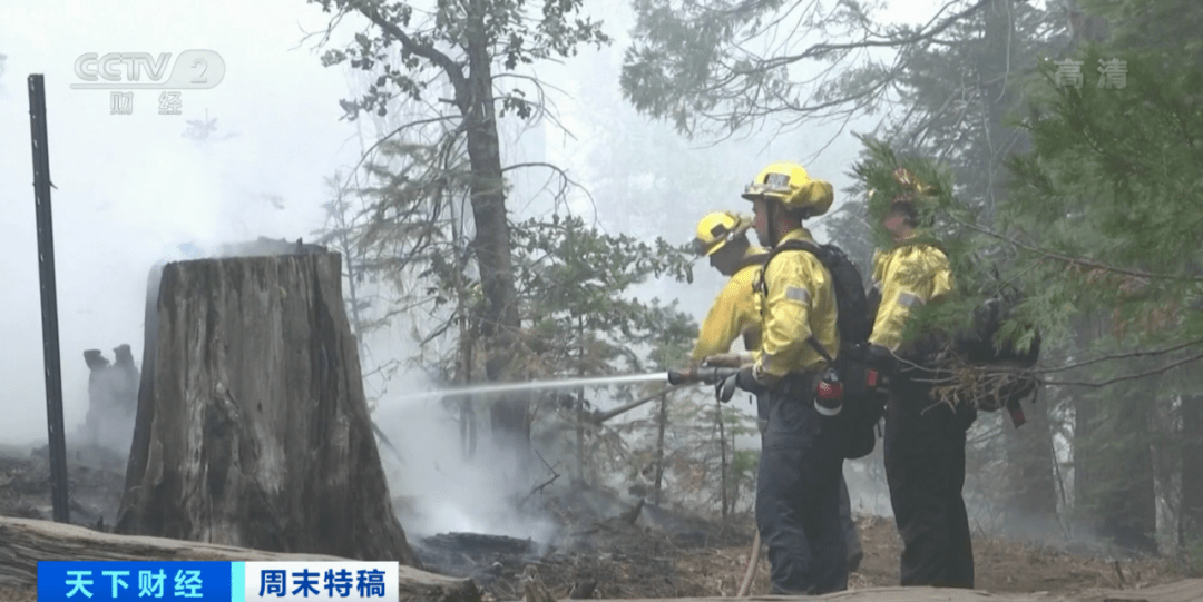 美国|史无前例！50万人紧急撤离！