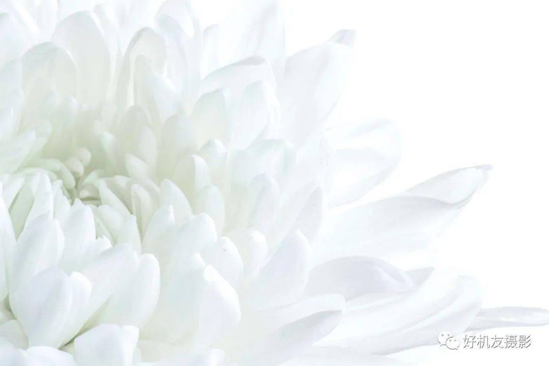 画面|5个题材的20种高调片拍摄方法，教你的照片“高调”起来