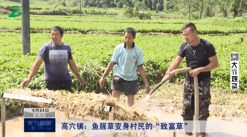 大竹高穴镇有多少人口_北流隆盛镇有多少人口