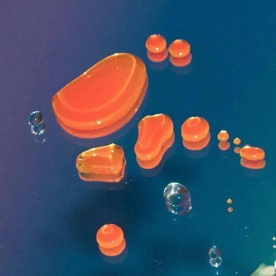 什么|国庆期间做什么?不如安排一下初秋美甲~