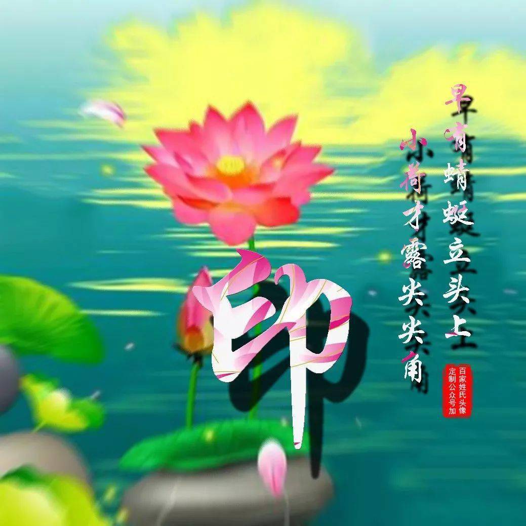 中老年头像大全:漂亮荷花,子道千年情,爱满百年好!