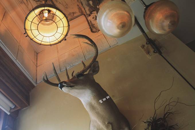 造像|逛吃成都 这次终于实现了麻辣自由