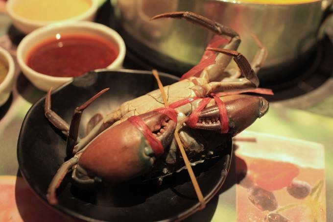 造像|逛吃成都 这次终于实现了麻辣自由