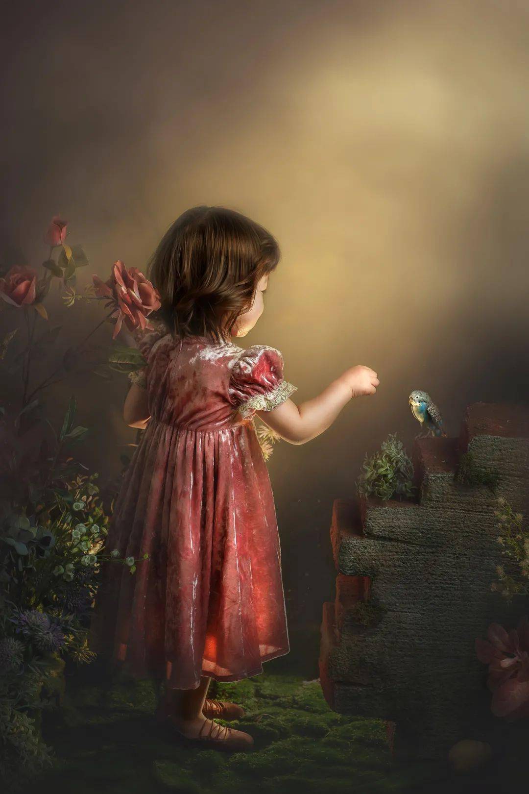 访谈|茄子访谈 | 小单摄影,享受一张照片从无到有的过程