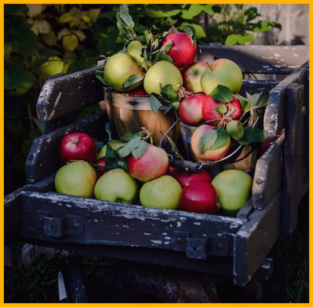 妈妈|送礼太难??那是因为你不知道这些实用礼物