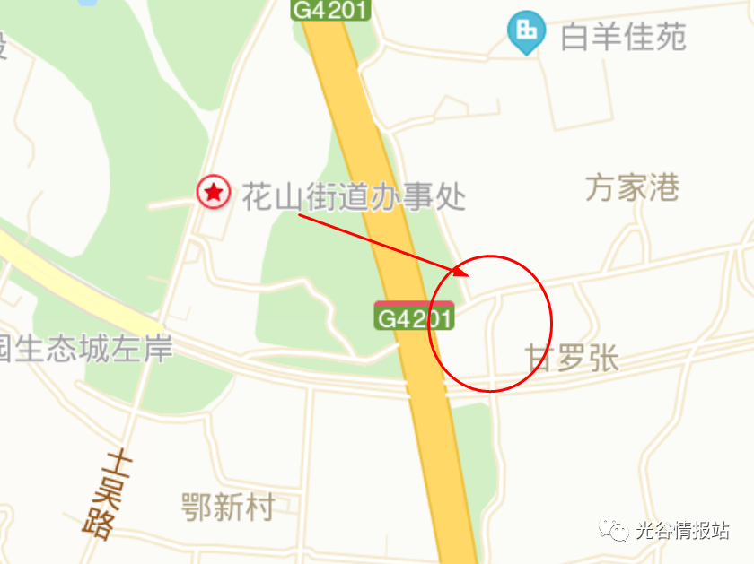 报告厅人均面积_人均耕地面积图