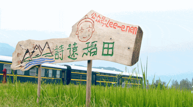 黄梅:袁夫稻田