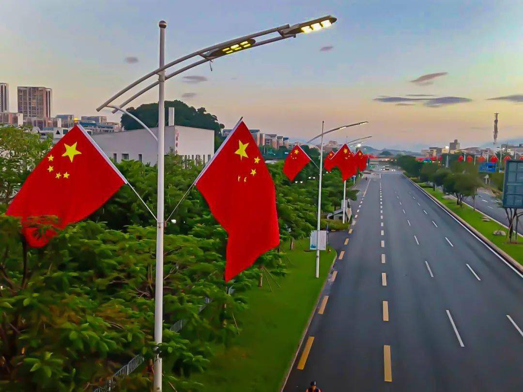 510条城市主干道 全城飘扬的五星红旗 成为了深圳街头最美的风景