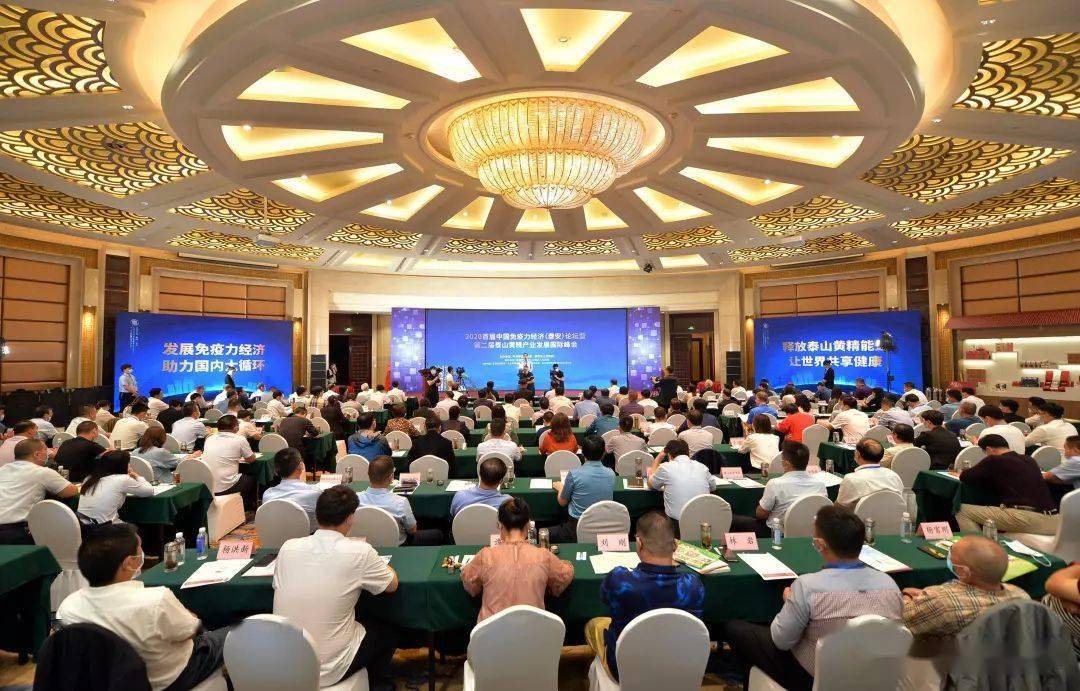 泰安经济总量2020_泰安徂汶景区2020规划