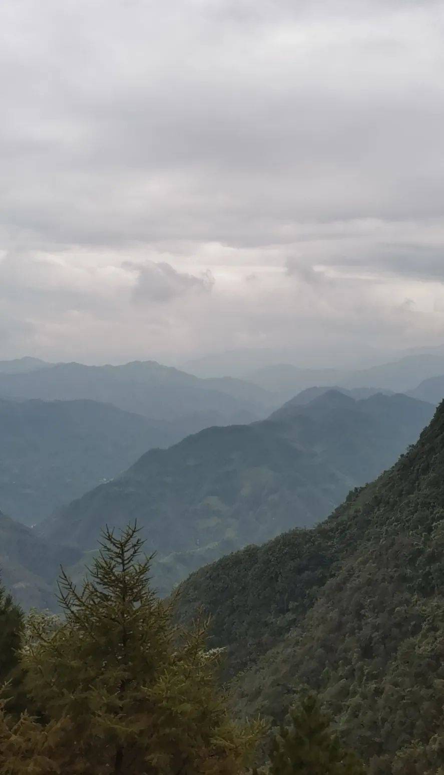 那个镇巴大叔的情愫:"双节"叹巨变,畅想星子山