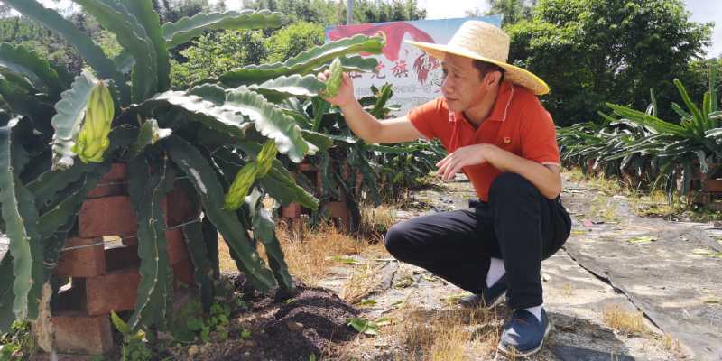 驻村|爸爸驻村第5年，你从小学生变成了高中生，时间飞快啊