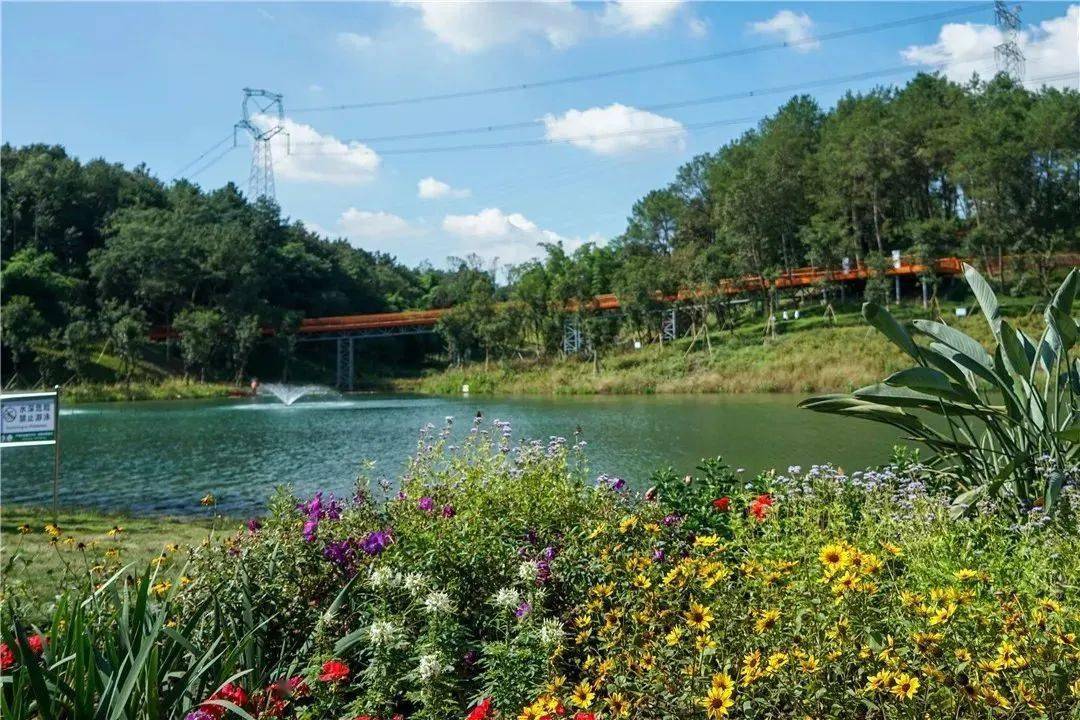 永安湖城市森林公园开园!"双节"又添好去处!
