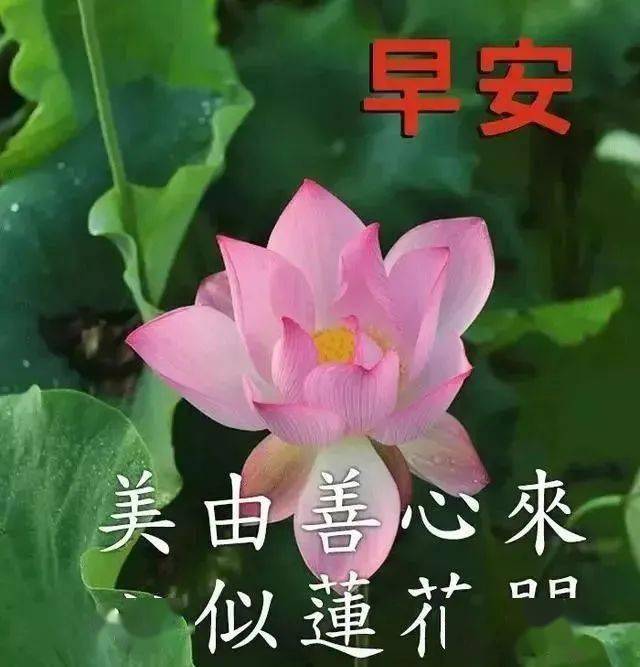 9月30日特别漂亮的早上好祝福美图 早安问候暖心句子