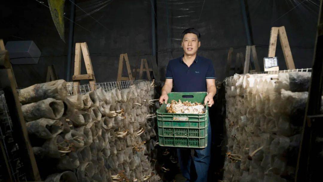 2020年邢台市新河县_邢台一小伙坚持每天只睡4、5个小时,因为...