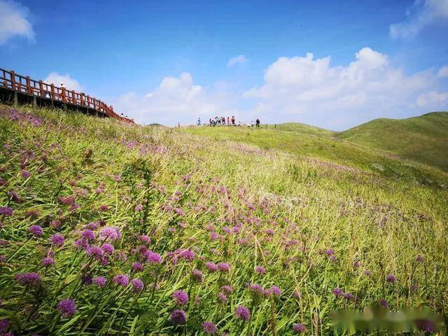 每位获奖者获得韭菜坪景区门票3张,二台坡景区门票4张(折后价值106元)