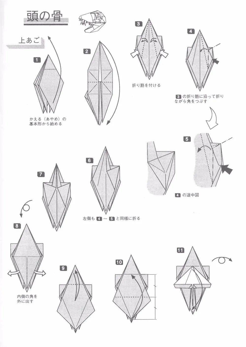 no2216折纸霸王龙骨架模型来了头骨1