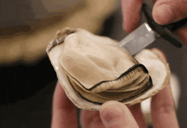 来袭|壕气来袭!仅49.9购门市价488元88只生蚝霸气来袭,这口鲜美一网打尽!【醉东北海鲜烧烤 | 苍松大厦 】霸气生蚝