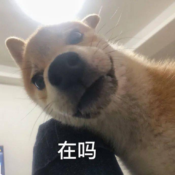 07787b75ded145529f8586076162232c.jpeg