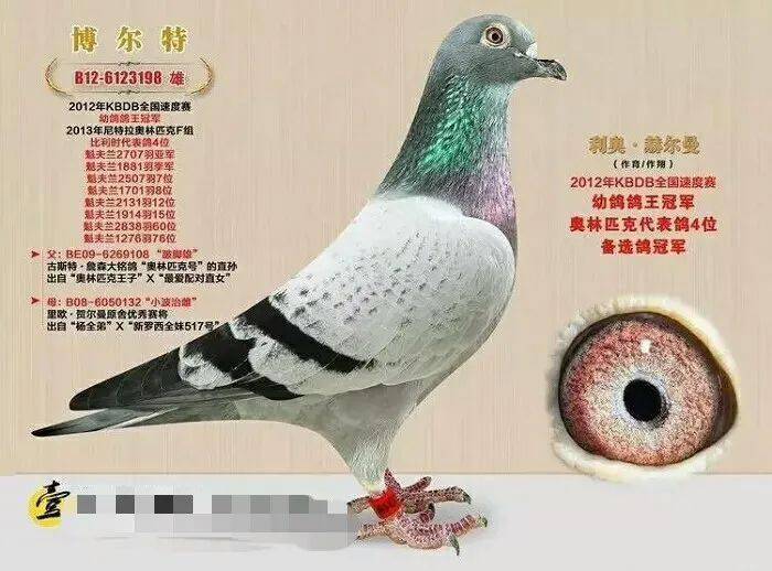 8c517494aa1a458a92d9c14df46d50fb.jpeg