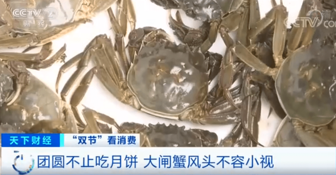 口味|这个口味的月饼卖爆，搜索量暴涨700%！万万没想到