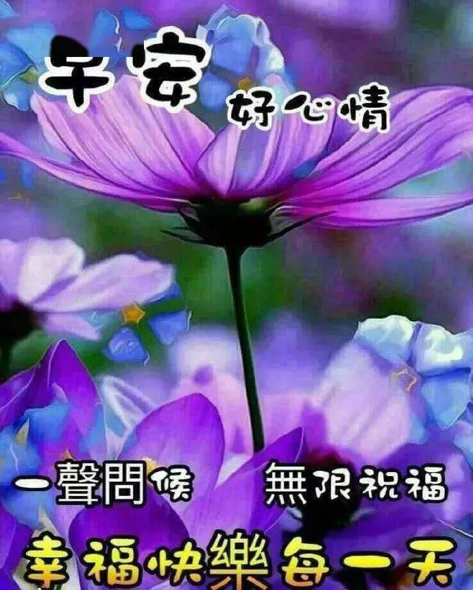 e66df52d16254955aabf5486ee36611a.jpeg