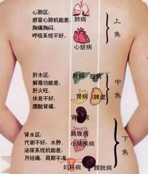 背诊怎么看