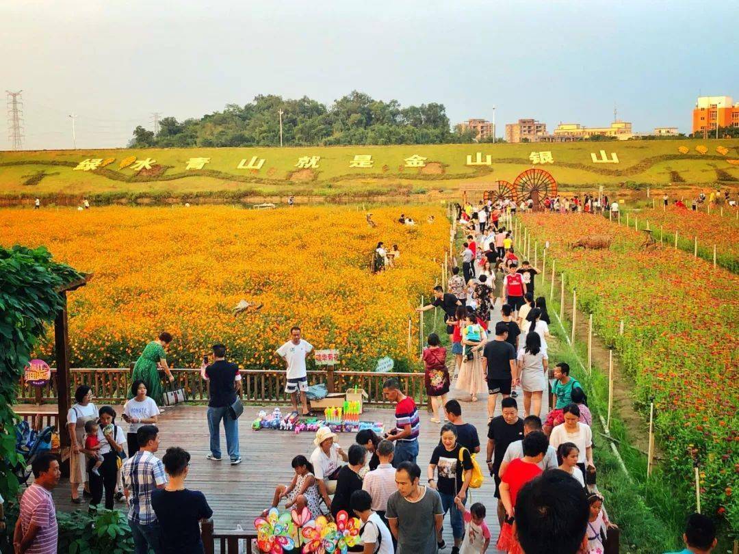 白坭镇"网红村"沙围村