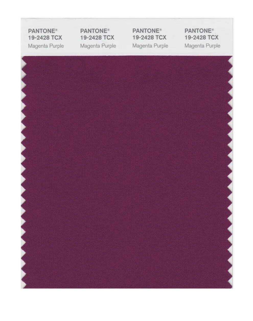 紫红色是今年秋天的主要颜色