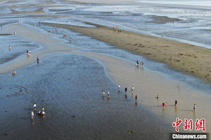 航拍江苏启东黄海滩涂 民众"赶海"过假期