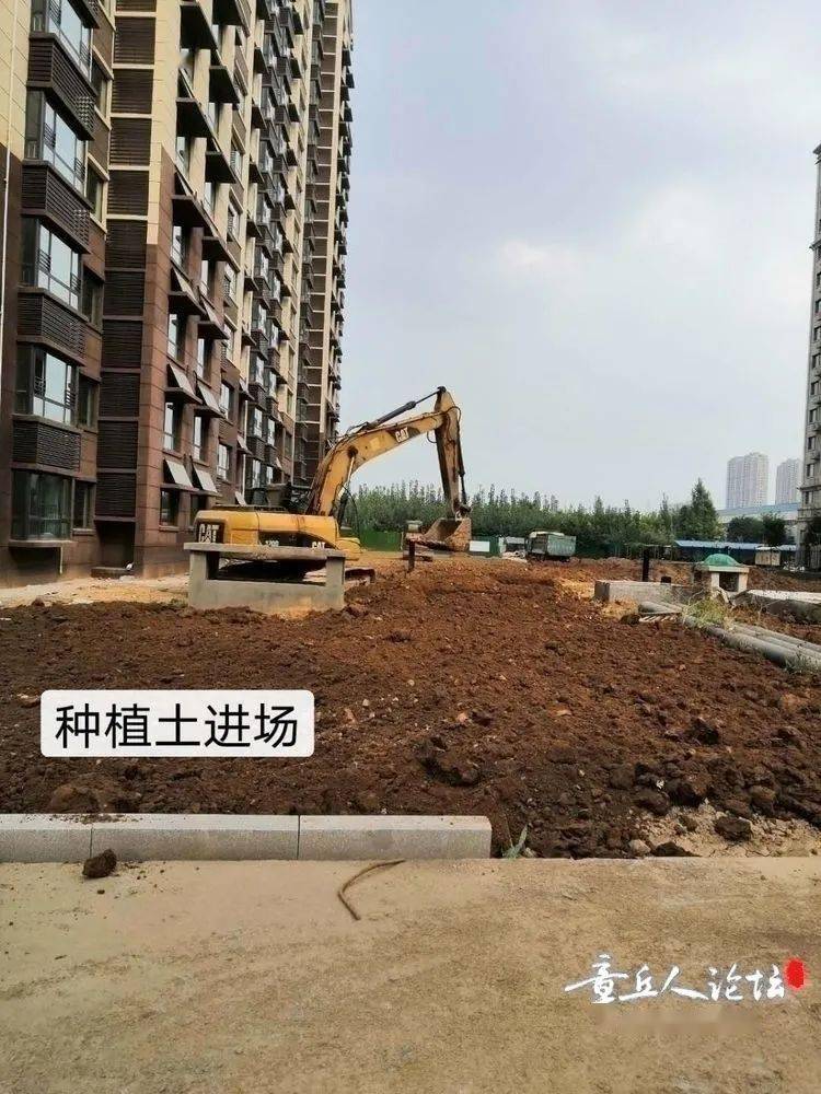 凤埠镇人口_人口普查(3)