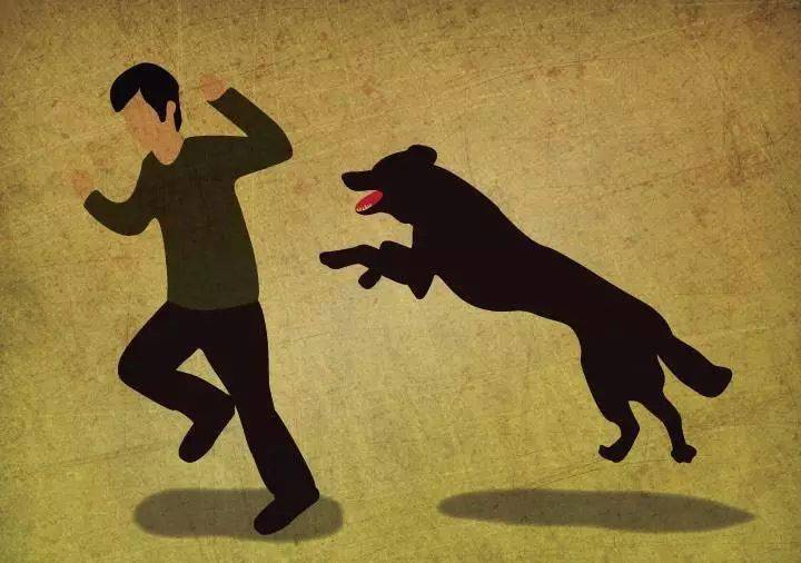 世界上有多少人得了狂犬病 731bc3f4f4664cd5a91966a293a85020.jpeg