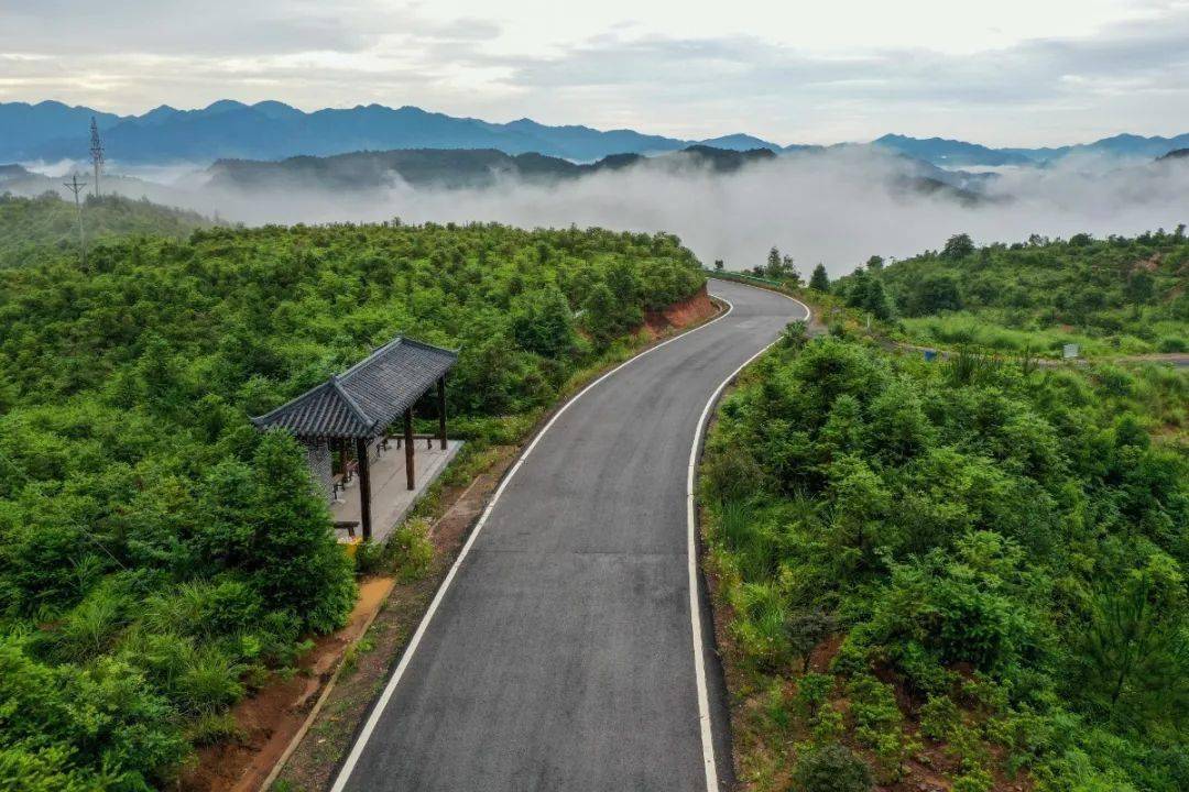 仙居国家森林公园,神仙居省级地质公园,朱溪飞翔小镇,杨丰山梯田,双庙