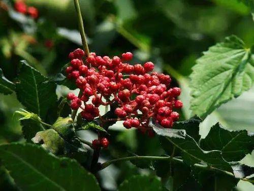 男人|男人的变心，往往从这些小细节开始...