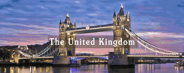 表演|因为追星Alexander Wang,我从影视表演跨界时尚拿到了4张offer!