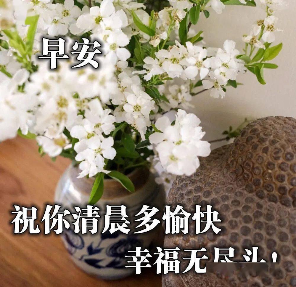 鲜花早上好美图大全,很美的早安图片,早安发朋友圈短语