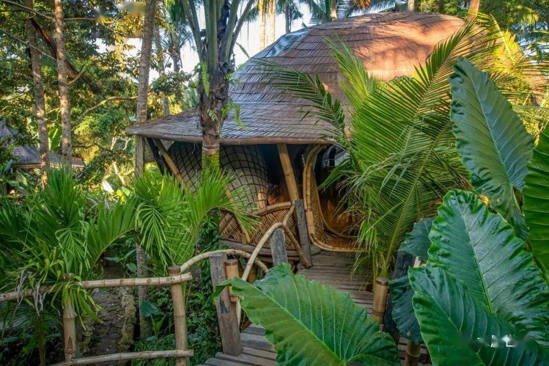 热带丛林里的竹制树屋