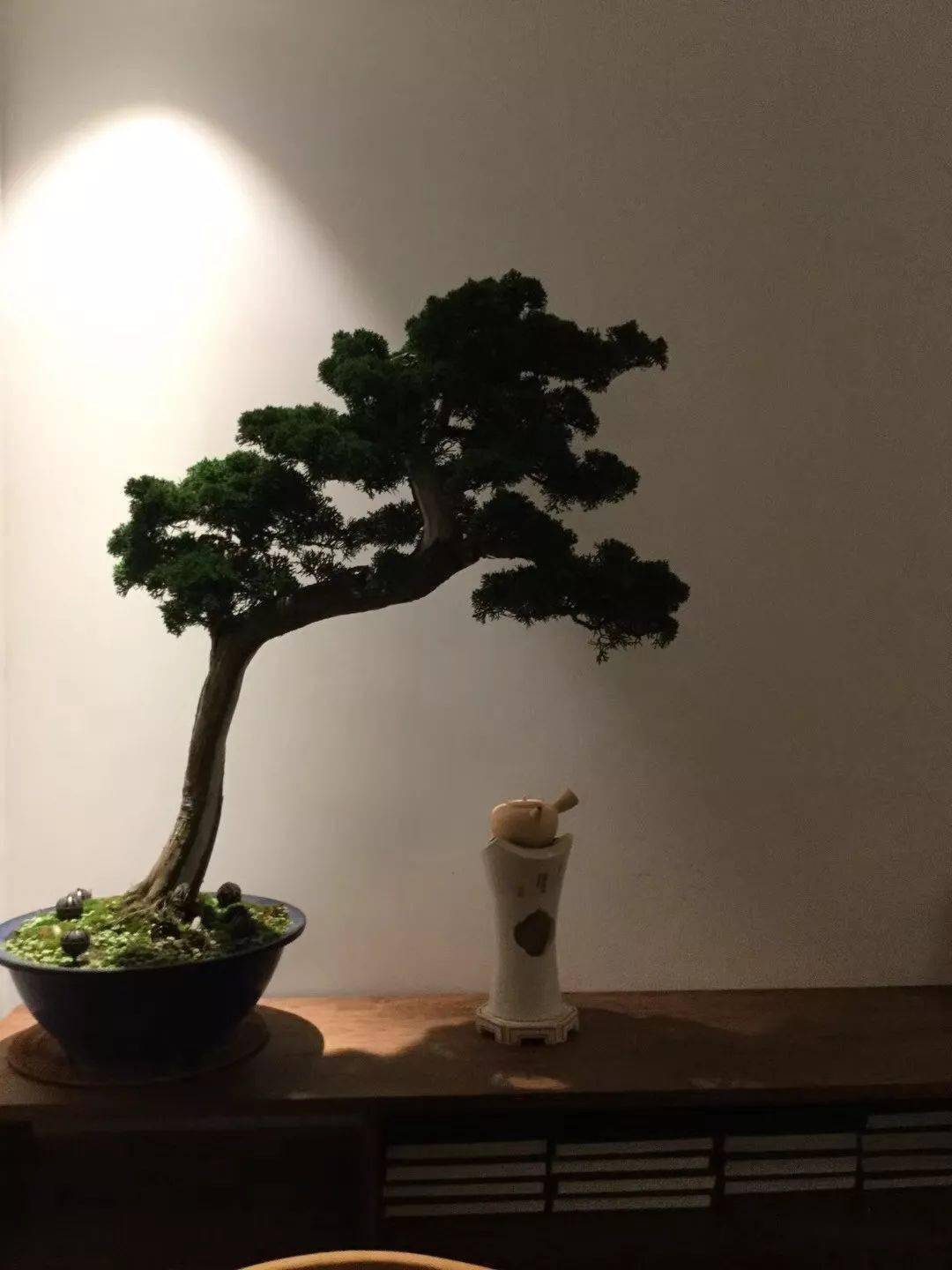 普洱茶|要自然，要够情，十一长假喝茶指南要自我