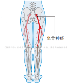 ba356d582ff448bd9cad75f5cf49e779.png