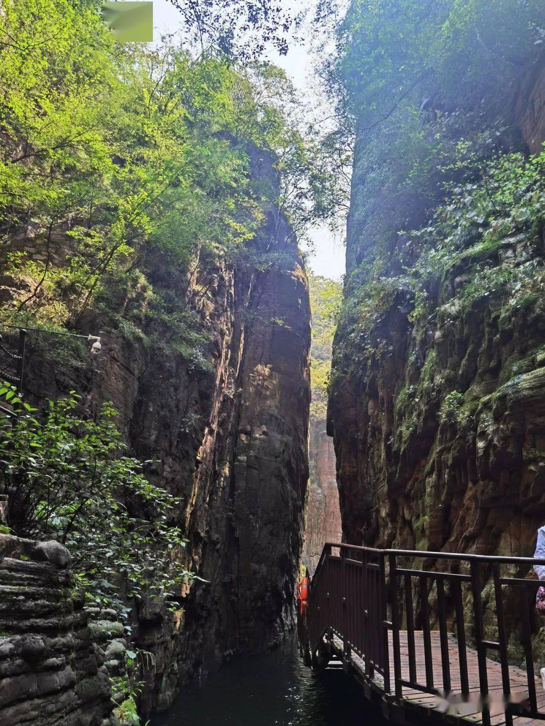 登黛眉山