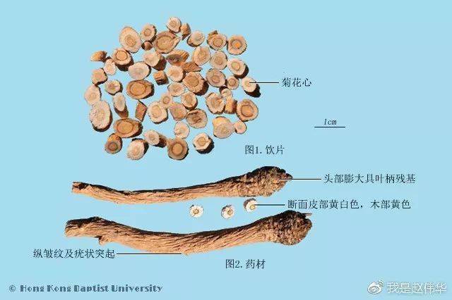 中药鉴定学速记歌诀(带图谱)