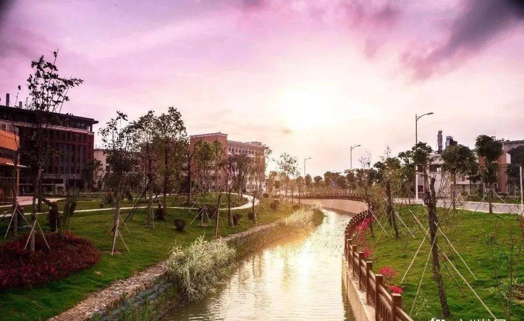 校区|看哭！广东“最没存在感”公办大学！这几所也在榜？