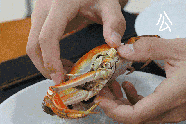 阳澄湖|什么是好吃的大闸蟹！咬一口“biu~”爆膏流黄15年老蟹农告诉你