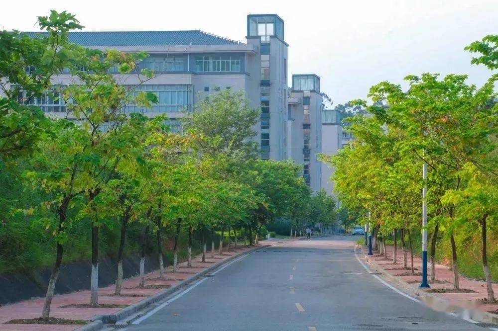校区|看哭!广东“最没存在感”公办大学!这几所也在榜?