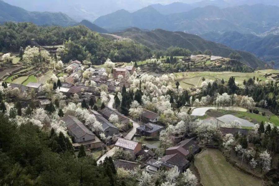 石溪排名_无双梦溪石