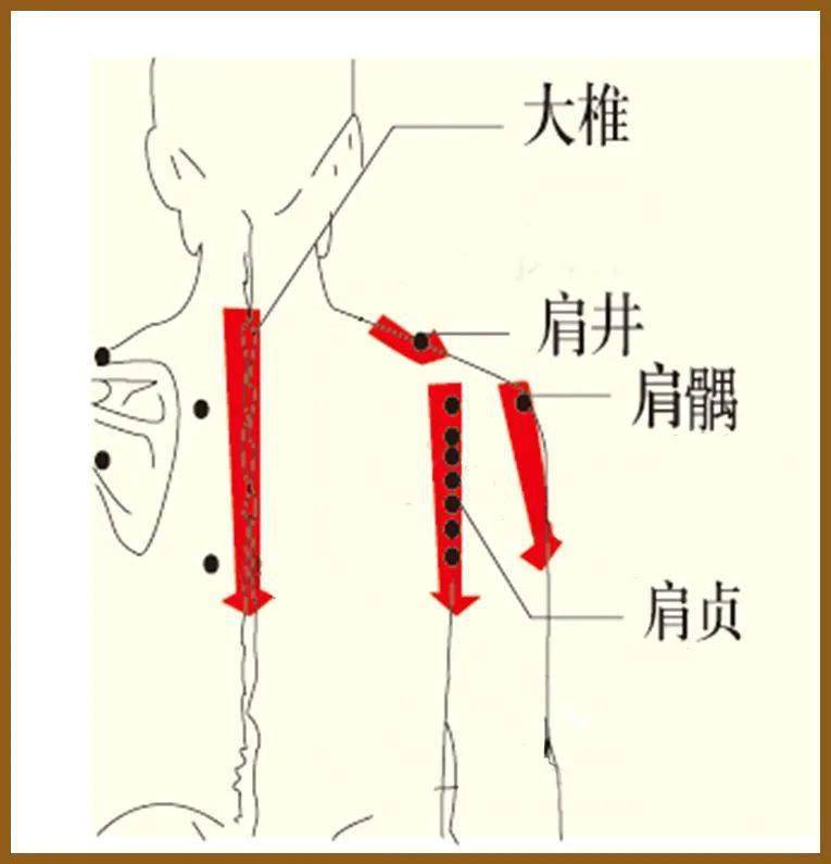 社区健康肩井穴生命之井按一按疏通全身气血