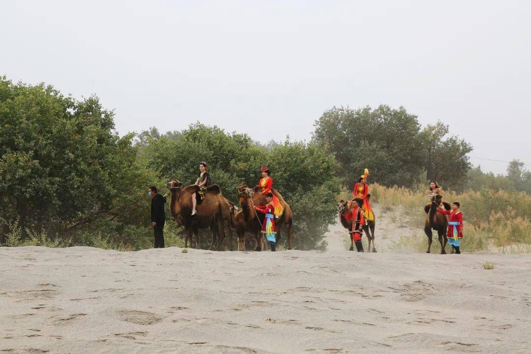 疏勒好地方 疏勒县秋冬季文化旅游活动精彩纷呈_手机搜狐网