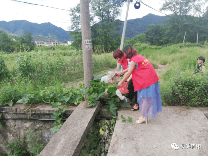 池州市庙前镇有多少人口_树人镇有多少人口