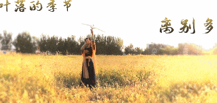 仙女|这是一个有舞蹈功底在身上的小仙女~